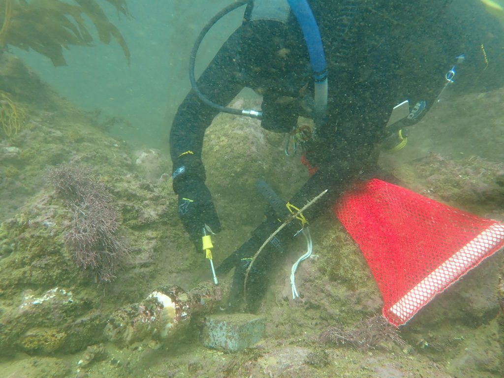 Figure 35: An OWHL attached to an 11 kg (25 lb) lead brick with band clamps. (Photo credit: The Bay Foundation)